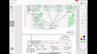 Stomach Full Pathology Robbins And Cotrans [upl. by Billy317]