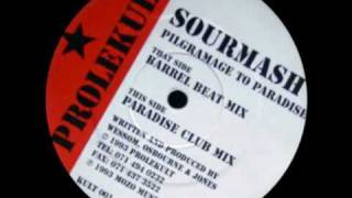 sourmash  pilgrimage to paradise paradise club mix  prolekult 1993 trance [upl. by Flyn]