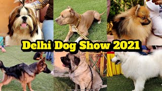 Dog Show Delhi 2021  Cheapest Dog Market  Kennel Club Of India  Market Outside Dog Show [upl. by Siramaj]