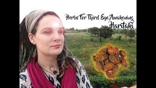 Herb for Third Eye Awakening Haritaki [upl. by Notle]