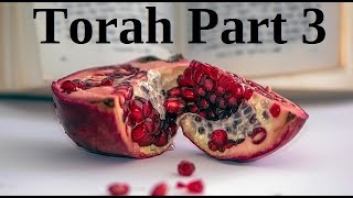 Torah Part 3  Wisdom amp Blessing [upl. by Curr]