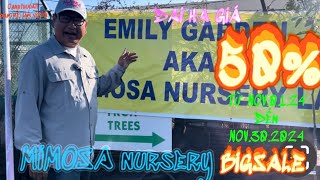 🤩🎁 MIMOSA Nursery BIG SALE 50 💐👍 [upl. by Karlan]