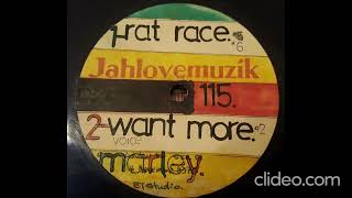 Bob Marley amp The Wailers  Want More Vocal  Dub Dubplate JahLove Quality [upl. by Unhsiv132]