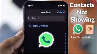 How To Fix WhatsApp Not Showing Contacts Names iPhones [upl. by Nalyk]