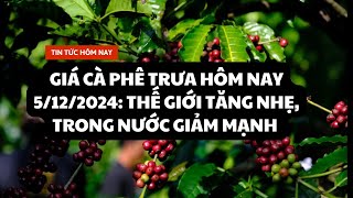 Giá cà phê trưa hôm nay 5122024 Thế giới tăng nhẹ trong nước giảm mạnh [upl. by Enamrahc75]