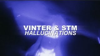 vinter amp STM  hallucinations Official Music Video [upl. by Jobie]