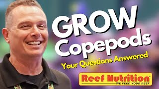 How to Culture Copepods Easy Your Questions Answered by an Expert [upl. by Jariah670]