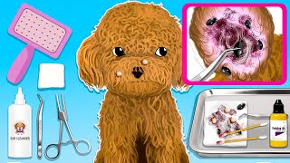 ASMR Animation Catching Fleas Cleaning and Disinfecting for Poodles Ears  Animal Care [upl. by Shulem]