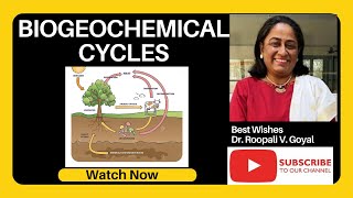 Biogeochemical Cycle A Journey through Natures Recycling हिंदी में shortvideo [upl. by Rombert]