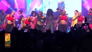 Koffi Olomide performs Micko Live at The Koroga Festival [upl. by Caro]