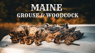 Unbelievable First Day Hunting Grouse amp Woodcock in Maine  2024 [upl. by Morissa]