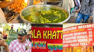 Lajpat Nagar Market Street Food Delhi  Dolma Aunty Momos Golgappe Street Food  india [upl. by Llevrac628]