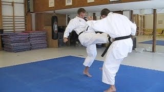 KARATE  Tiger Karate  Shotokan and mix of martial arts [upl. by Ailaroc]