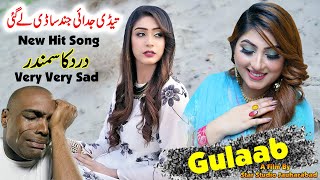 Mur ve Mahiya  Pichan Mur Vy Dhola  Gulaab Official Video  Tahir Mehmood Nayyer Song  gulaab [upl. by Ahcsat]