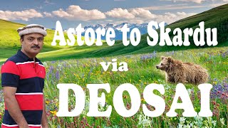 Astore to Skardu via Deosai National Park  Sheoser Lake  Bara Pani Deosai  Mozi Ventures  Vlog [upl. by Leonardi]