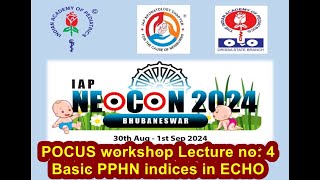 IAPNEOCON 2024 POCUS workshop Basic PPHN indices in ECHO [upl. by Woodruff354]