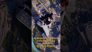 MrBeast climbed the tallest building in the world the Burj Khalifa [upl. by Analat343]