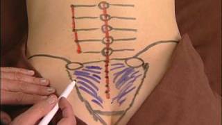 Anatomy Drawing of the Sacroiliac Ligaments [upl. by Nitsew704]