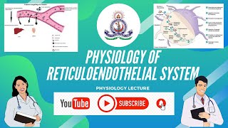 PHYSIOLOGY OF RETICULOENDOTHELIAL SYSTEM [upl. by Glenn804]