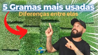 Diferenças entre as Gramas mais usadas [upl. by Alletse]