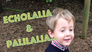 Echolalia amp Palilalia  What does Echolalia sound like  Autism Awareness  ASD  Child Speech Delay [upl. by Annaoy]