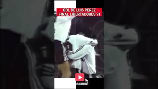 Gol de luis perez final copa libertadores 1991 colocolo vs olimpia copalibertadores futbol [upl. by Ribak]