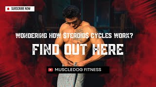 All About ter0d Cycles Start Progress amp Finish Strong  in Hindi  Muscledog Fitness [upl. by Anehsuc]