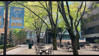 Experience LIU Brooklyn Campus [upl. by Ravo]