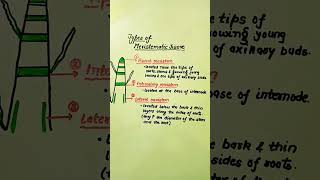 Types of Meristematic tissue meristematic tissue science apical meristem intercalary lateral [upl. by Eirena]