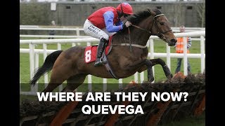 Where Are They Now Quevega [upl. by Akirehc]