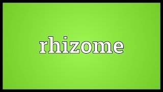 Rhizome Meaning [upl. by Colner924]