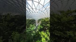 Changi Airport airport travelbucketlist travel singapore engineering dome future [upl. by Larred383]