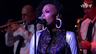 Live Stream CHIC featuring Nile Rodgers trittico Lost in MusicNotoriousOriginal Sin INXS [upl. by Paget230]