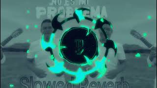 Es tu problema No es mi problema Slowed  Reverb  Mid Boost [upl. by Otsuj]