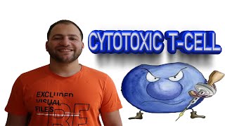 Cytotoxic Tcell activation [upl. by Dasie91]