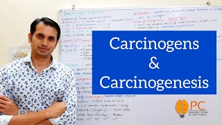 Cancer Part 3 Carcinogens and Carcinogenesis  Tumour Supressor Gene and Oncogenes [upl. by Port492]