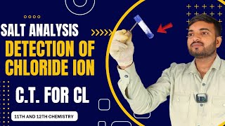 Test for Chloride ion salt analysis class 11th 12th chemistry saltanalysis a2zpractical991 [upl. by Hermann624]