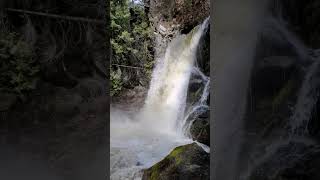 Little Cayuse Creek Falls Castlegar BC May 07 2023 [upl. by Yrolg230]