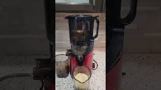 Fretta Cold Press Juicer [upl. by Ulda785]