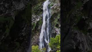 Powerscourt Waterfall Wicklow Mountains 🥾 [upl. by Enylekcaj]