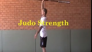 Effective strength Training for judo  Essential Core exercises by Matt D’Aquino [upl. by Roban]