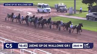 Grand Prix De Wallonie Gr1 2024  Go On Boy amp Romain Derieux 1145 2850m [upl. by Annohsat288]