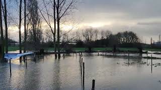 Parcours Hexia Cyclocross Gullegem onder water gelopen [upl. by Samalla]