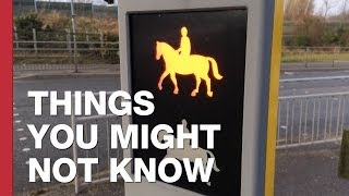 There Are Special Crossings For Horses In Britain [upl. by Brandwein]