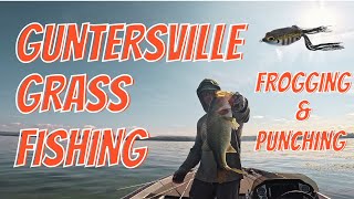 Lake Guntersville September Bass Fishing [upl. by Eilitan]