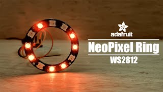 Getting Started with RGB NeoPixels WS2812B [upl. by Enahs811]