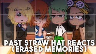 Past Straw Hats erased memories reacts to Luffy  One Piece  Gacha Club [upl. by Quillon]