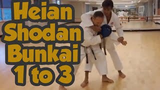 Applied Shotokan Video Heian Shodan 13 [upl. by Alakcim301]