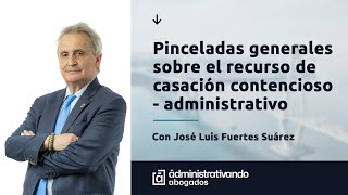 Pinceladas generales sobre el recurso de casación contencioso  administrativo [upl. by Attenej]