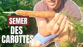 Tuto jardin  Comment semer des carottes [upl. by Carmelo634]